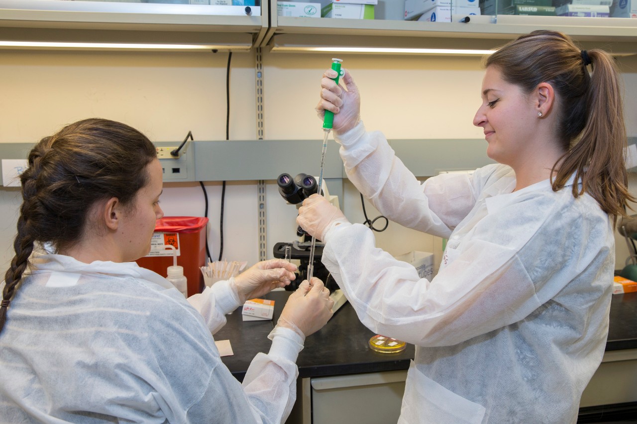 MLS students in lab