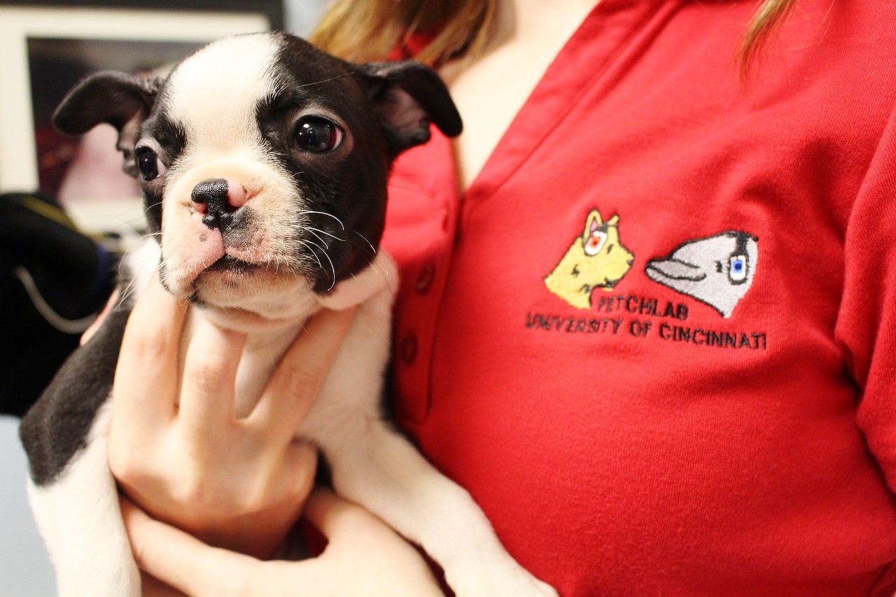 student-holding-puppy