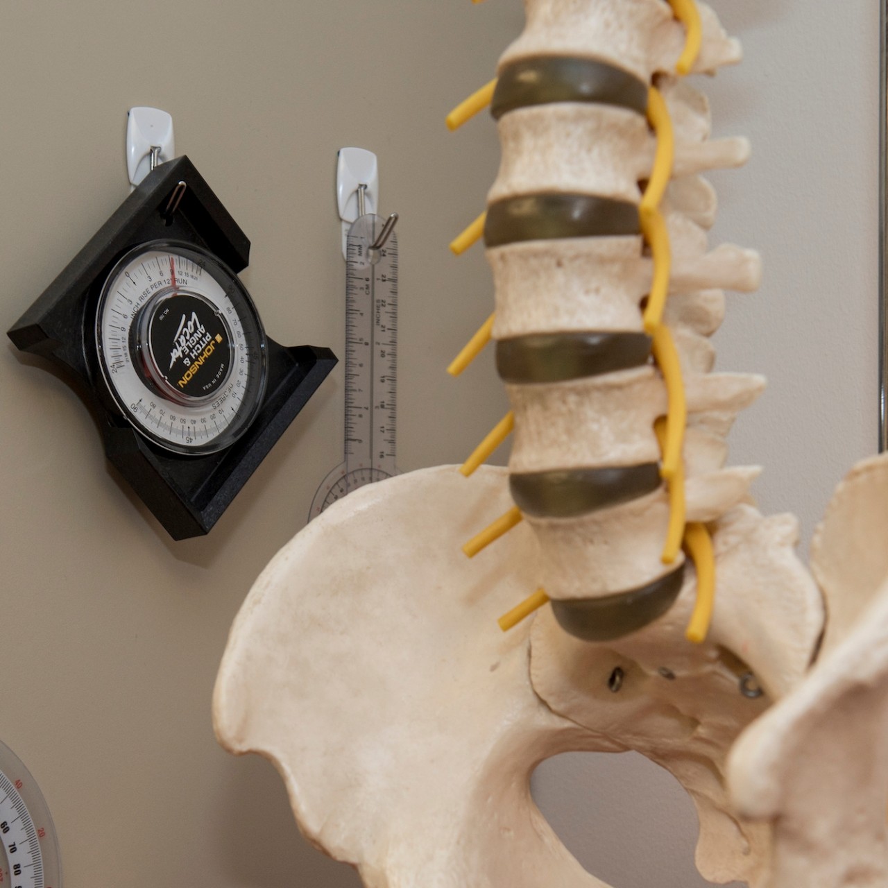 skeleton-and-tools Headshot of Doctor of Physical Therapy Program